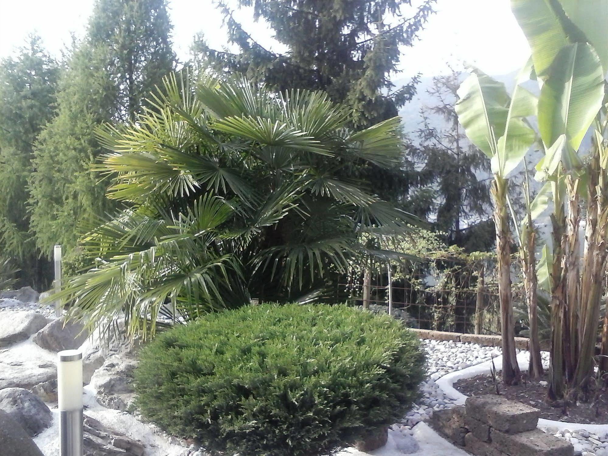 Hotel Empire Resort Iseo Bagian luar foto